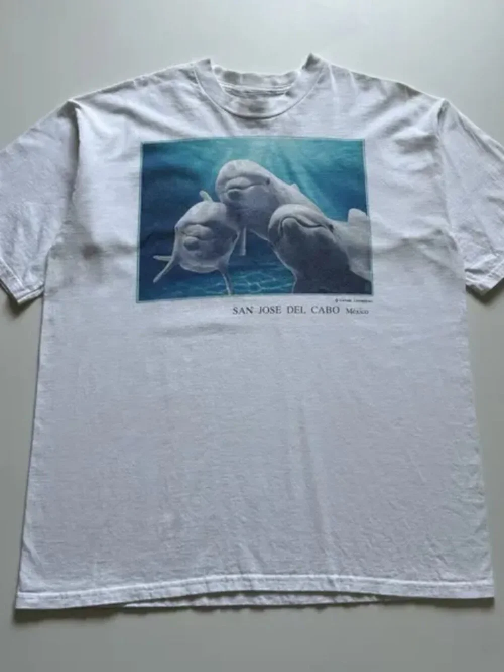 San Jose Del Cabo Mexico Dolphin Nature Tee